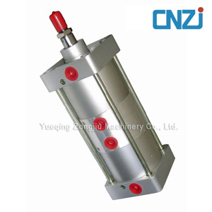 standard pneumatic cylinder