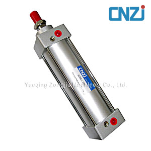 Standard pneumatic cylinder